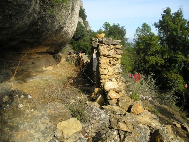 p1010019.jpg