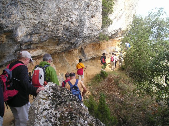 p1010024.jpg