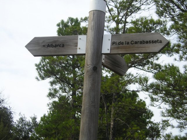 p1010027.jpg