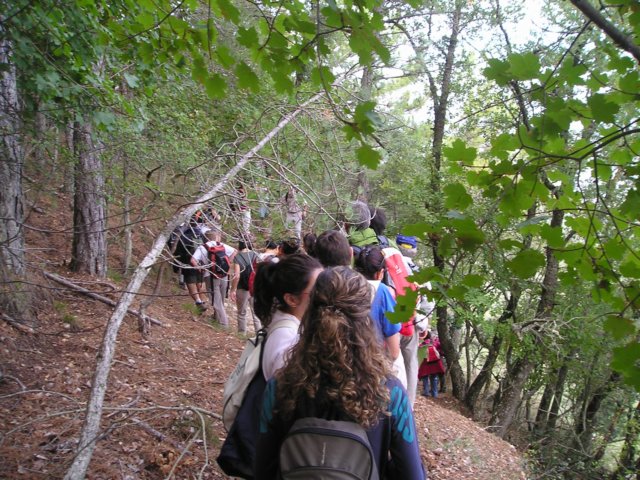 p1010041.jpg
