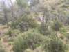 p1010046_small.jpg