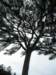 p1010050_small.jpg