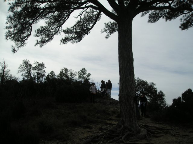 p1010051.jpg