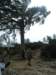 p1010053_small.jpg