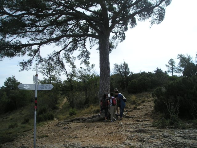 p1010054.jpg