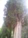 p1010060_small.jpg
