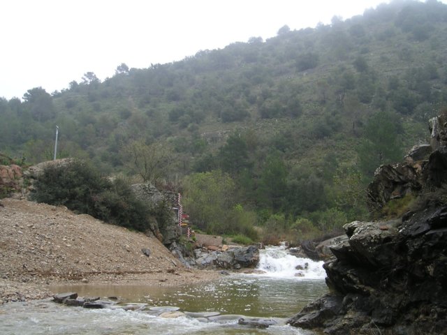 p1010017.jpg