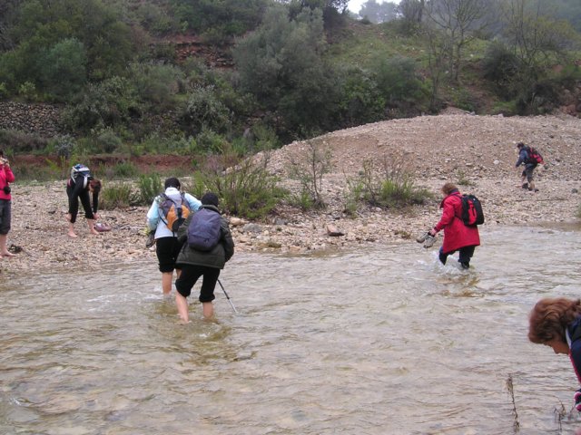p1010020.jpg