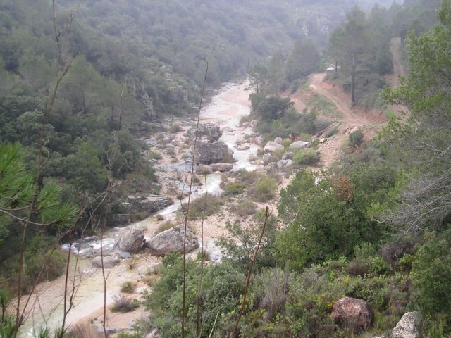 p1010031.jpg