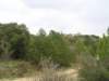 p1010040_small.jpg