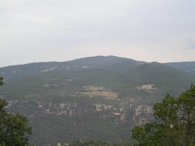 p1010041.jpg