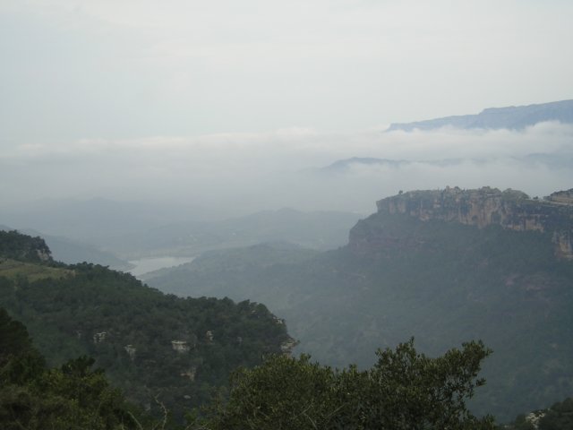 p1010044.jpg