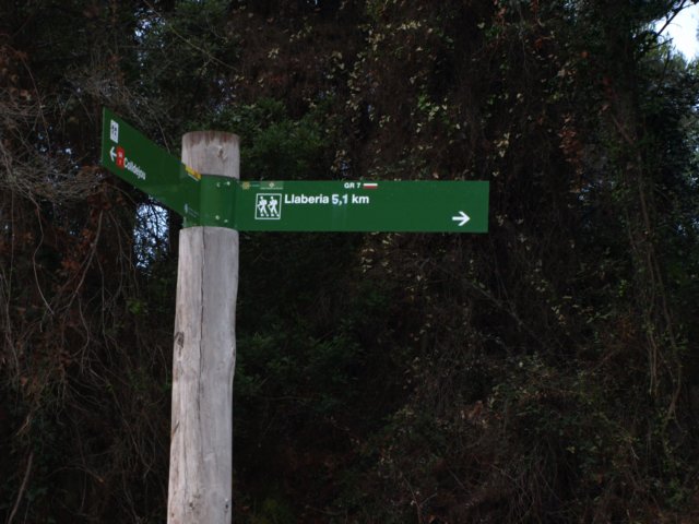 pb221723.jpg