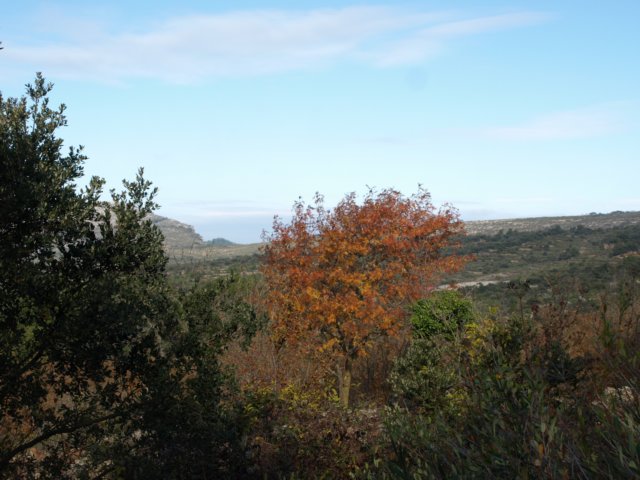 pb221754.jpg