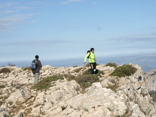 pb221777.jpg