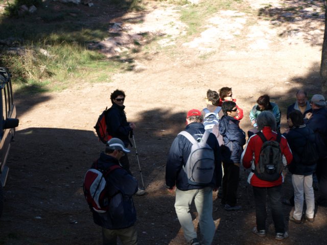 pb221802.jpg
