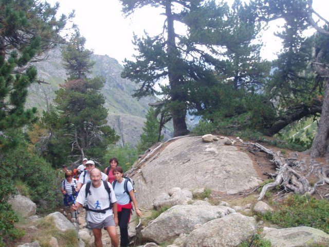 p1010207.jpg
