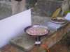p1010029_small.jpg