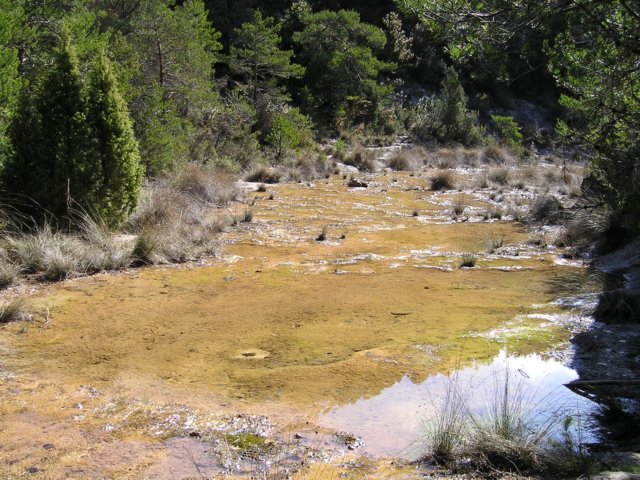 p1010110.jpg