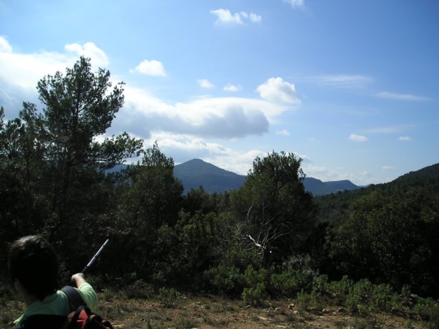 p1010116.jpg