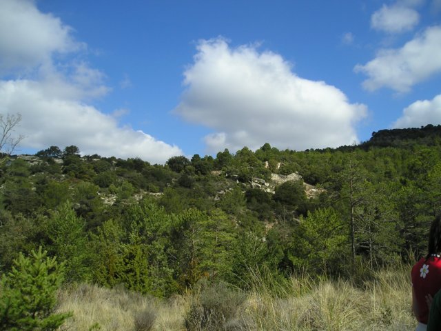 p1010121.jpg