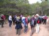 p1010123_small.jpg