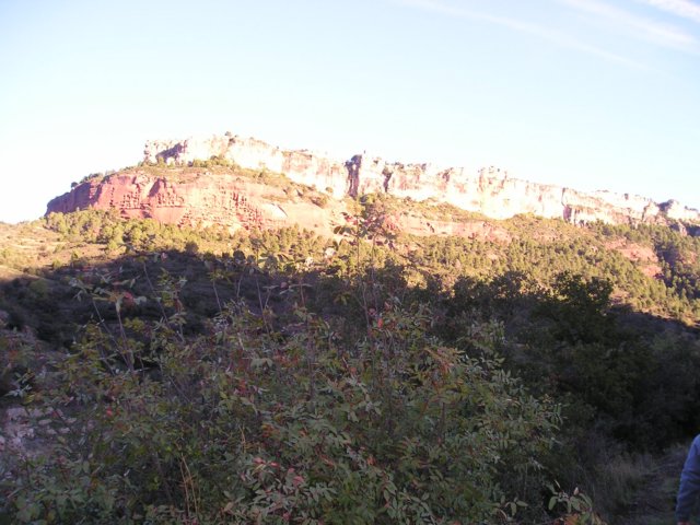 p1010012.jpg