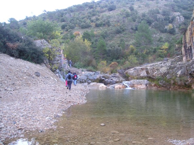 p1010014.jpg