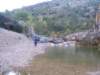 p1010014_small.jpg