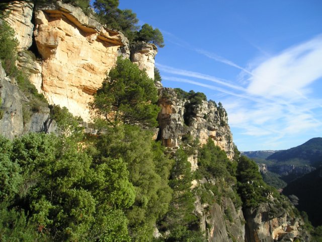 p1010016.jpg