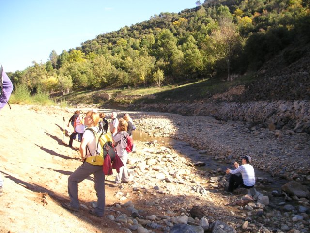 p1010021.jpg