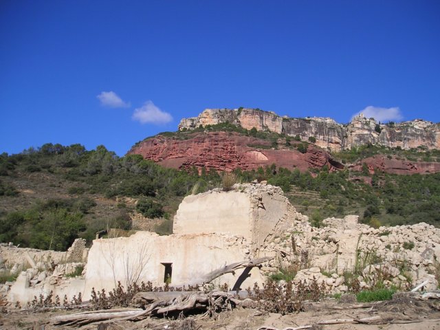 p1010022.jpg