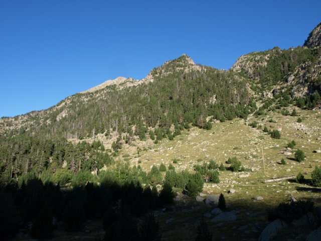 p8301356.jpg