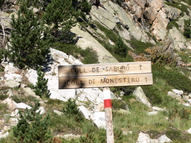 p8301375.jpg