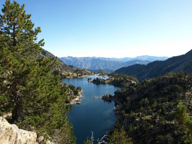 p8301379.jpg