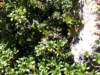 p8301389_small.jpg