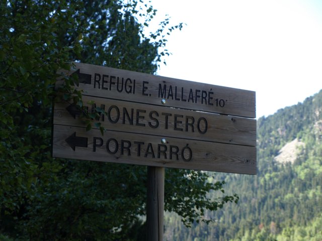 p8301423.jpg