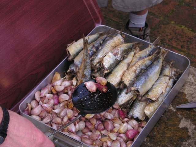 p1010003.jpg