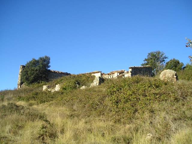 p1010435.jpg