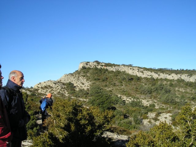p1010442.jpg
