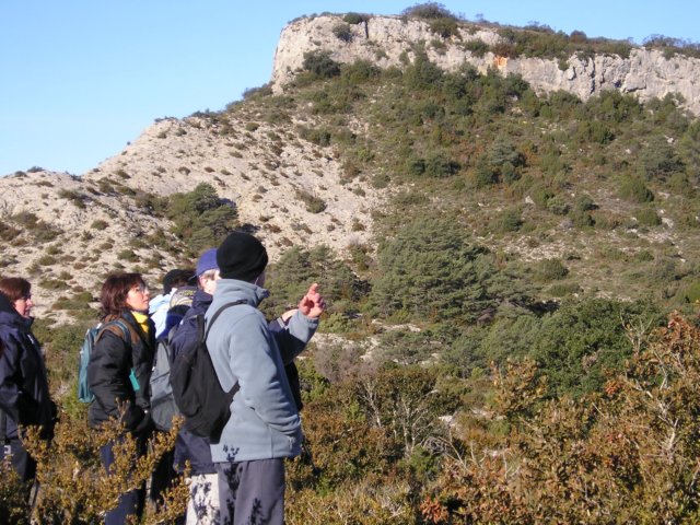 p1010444.jpg