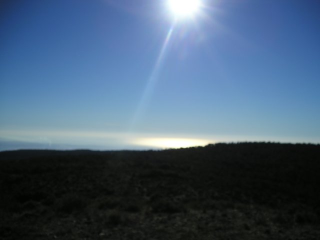 p1010450.jpg