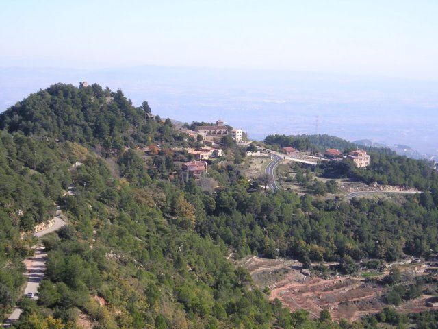 p1010457.jpg