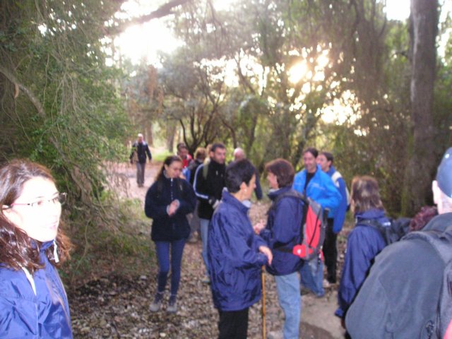 p1010003.jpg
