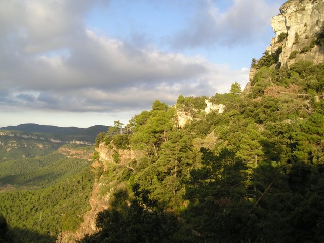 p1010009.jpg