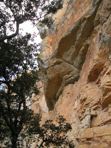 p1010012.jpg