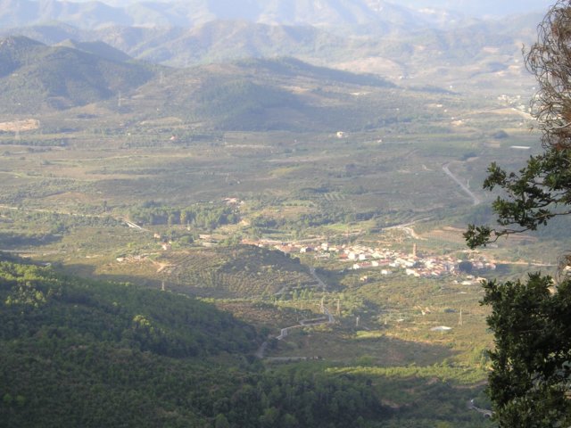 p1010014.jpg