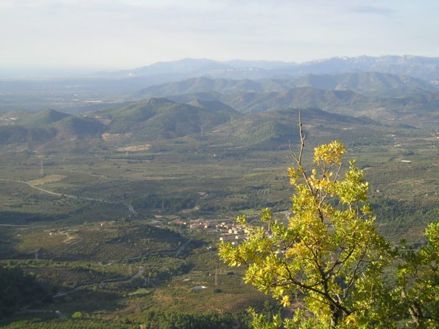 p1010017.jpg