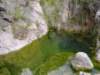 p1010019_small.jpg