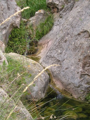 p1010021.jpg